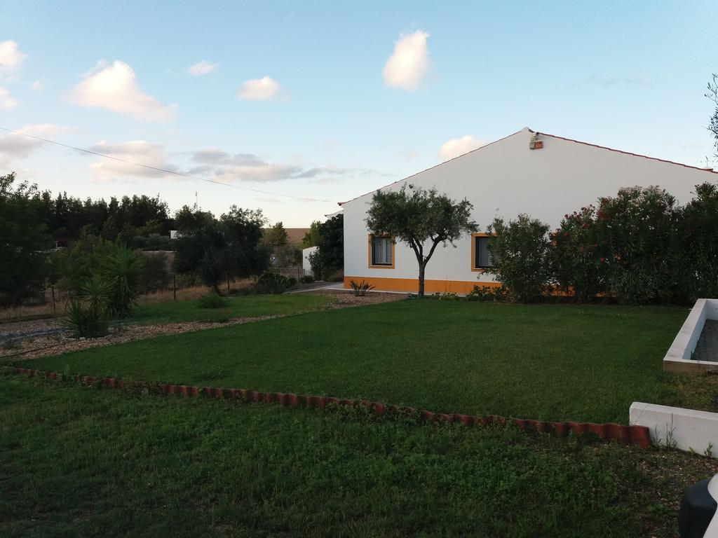 Corvos E Cadavais Almodovar